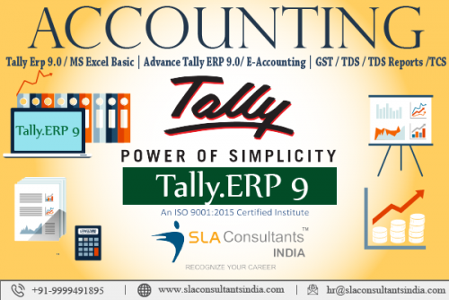 Which is the best institute for Tally in Delhi?