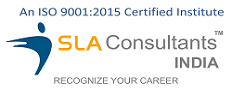 SLA Consultants India - Digital Marketing Training Institute